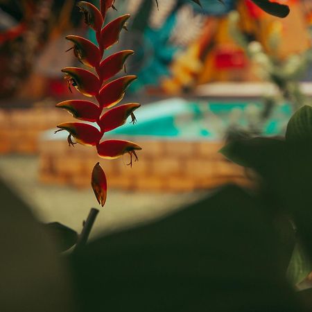 Casa Antonia - Pousada Boutique لينكويس المظهر الخارجي الصورة