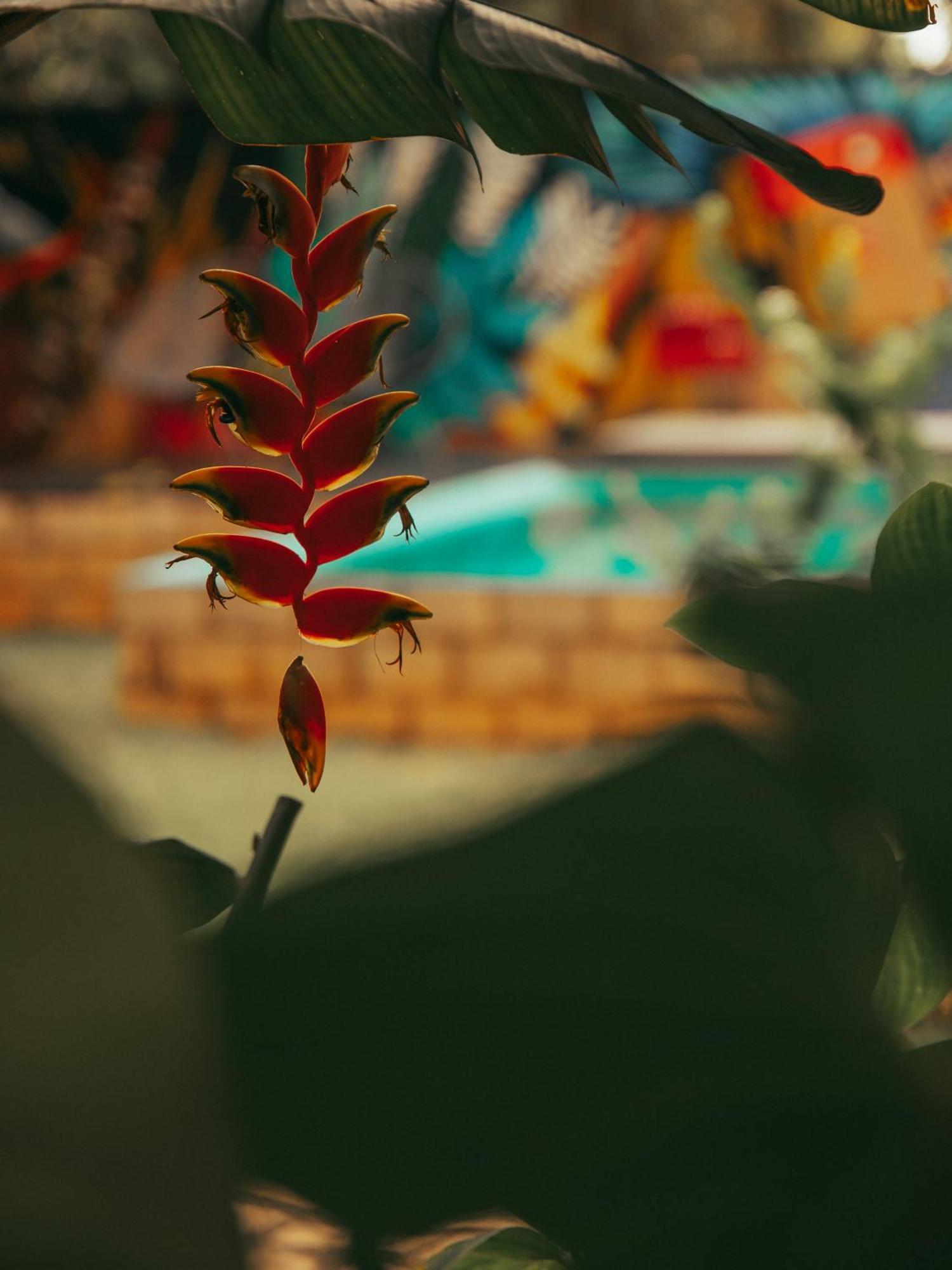 Casa Antonia - Pousada Boutique لينكويس المظهر الخارجي الصورة
